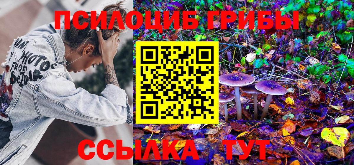 Псилоцибиновые грибы Magic Shrooms Печора